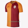 Galatasaray Fotbollströjor Hemma tröja 2018/19 Kortärmad